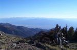 Im Bristlecones NM